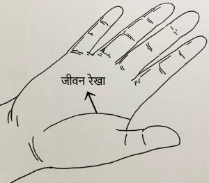 जीवन रेखा Life line