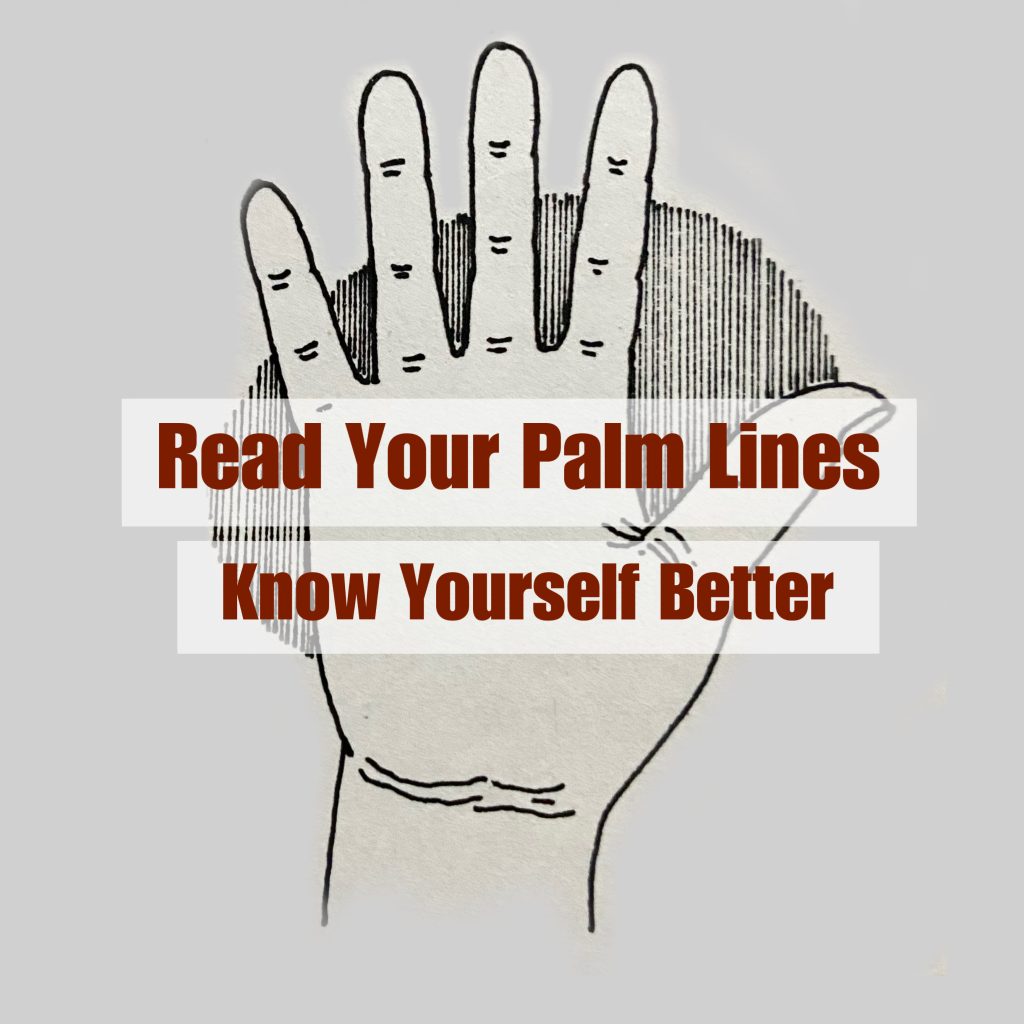 Palm Reading for Male & female