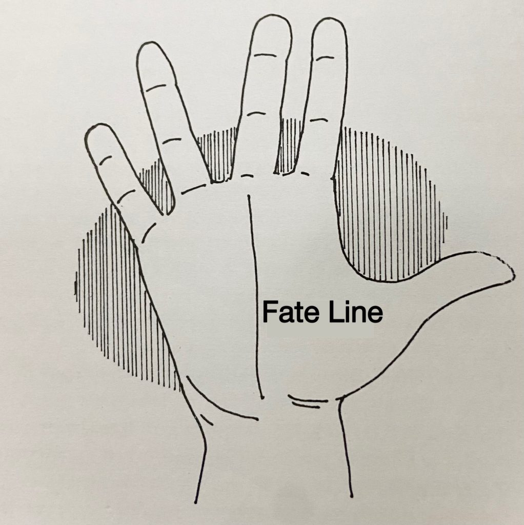 fate Line in Palmistry