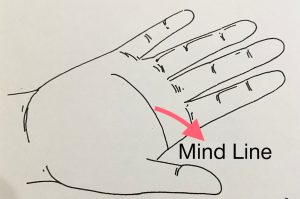 Head Line in Palmistry