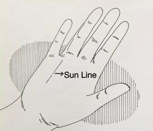 Sun Line in Palmistry