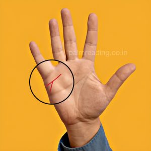 Types of marriage line in hand - Palm Reading