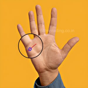 Types of marriage line in hand - Palm Reading
